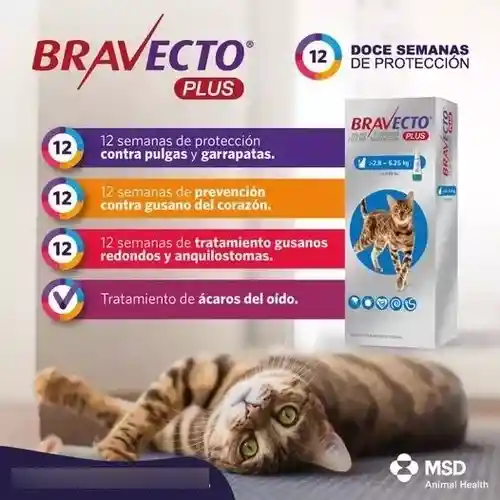 Bravecto Plus Gato 1.2-2.8 Kg Pipeta Antiparasitaria Externa-interna