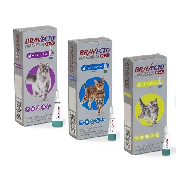 Bravecto Plus Gato 1.2-2.8 Kg Pipeta Antiparasitaria Externa-interna