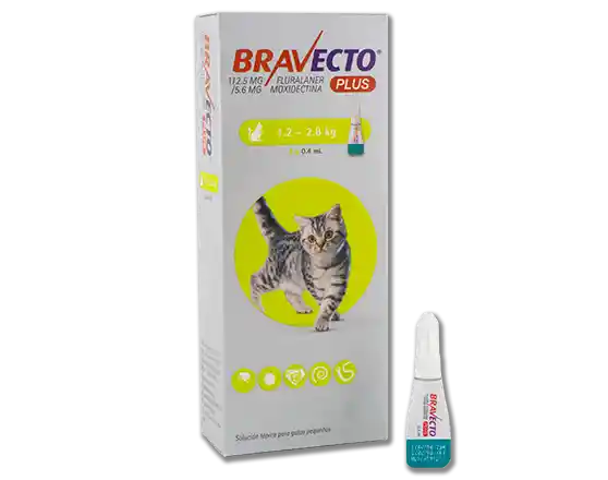 Bravecto Plus Gato 1.2-2.8 Kg Pipeta Antiparasitaria Externa-interna