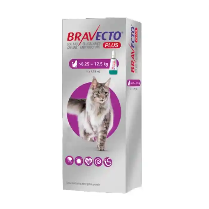 Bravecto Plus Gato 6.25-12.5 Kg Pipeta Antiparasitaria Externa-interna