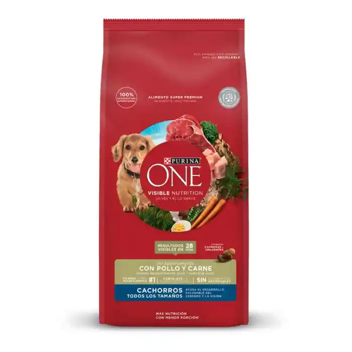 Purina One Canino Cachorros Todos Los Tamaños Pollo Y Carne 6kg