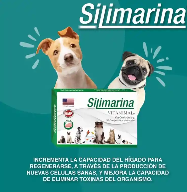 Silimarina Vitanimal 120 Mg 30 Comp