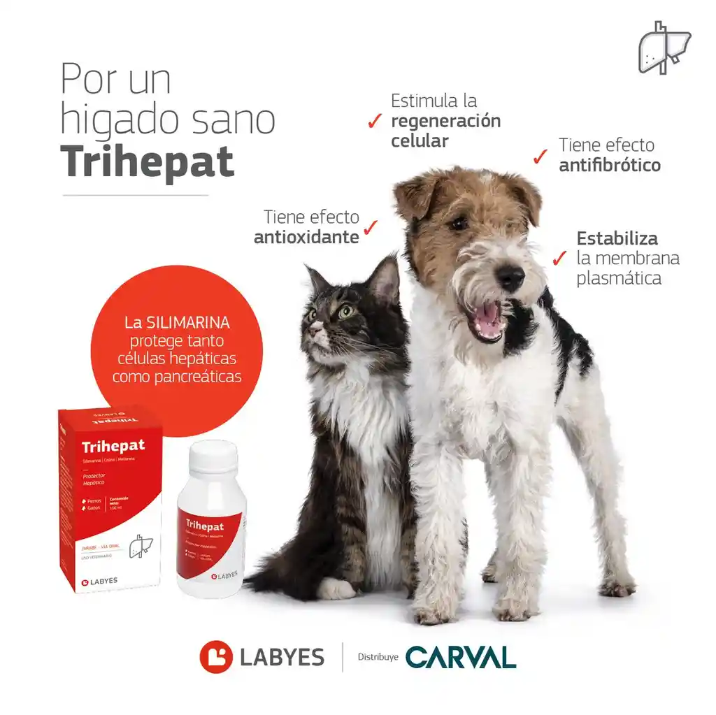 Trihepat 100 Ml