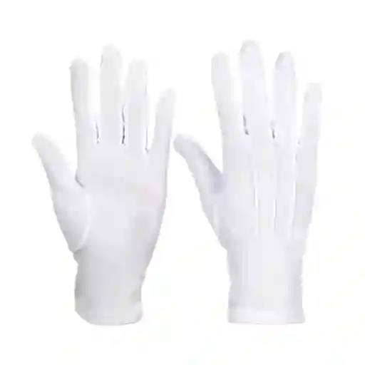 Guantes Blancos Formal Algodón Guardia Honor