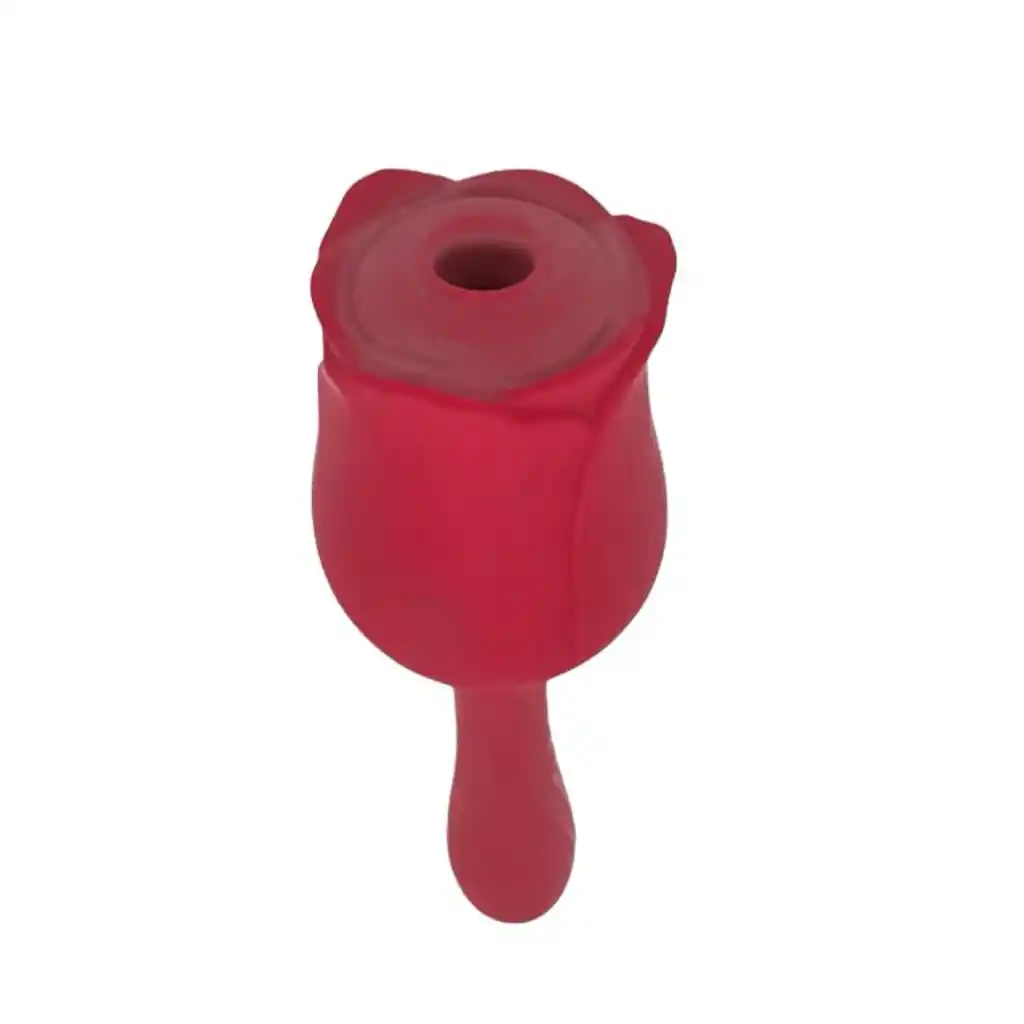 Succionador Vibrador Rosa