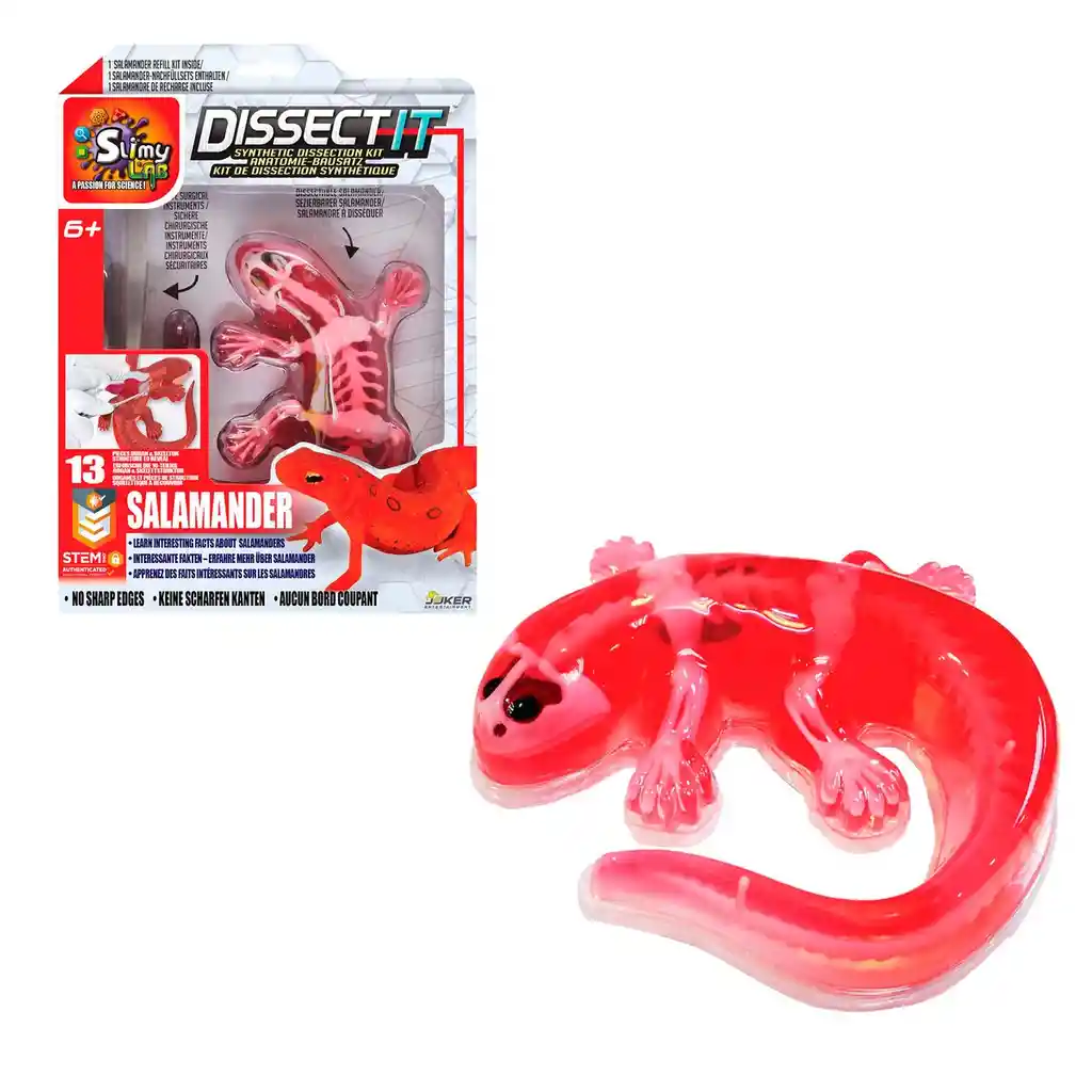 Juego Diseccion Esqueleto Con Slime Formula Original - Salamandra