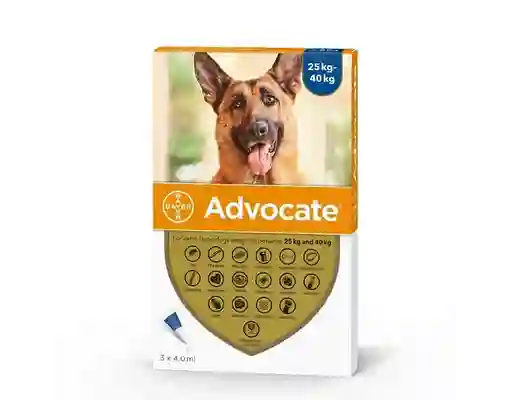 Advocate Perro 25 - 40 Kilos