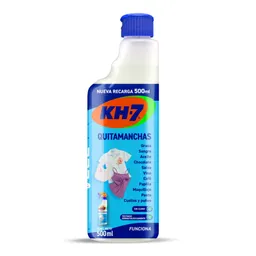 Botella Recarga Quitamanchas