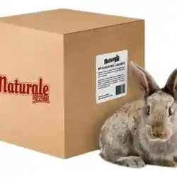 Alfalfa Box 2.4 Kg Naturale For Pets