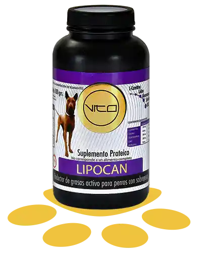 Vito Lipocan