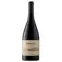 Errazuriz Las Pizarras Syrah 750cc