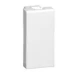 Modulo Interruptor Simple Switch 16a Blanco Ante X Unidad