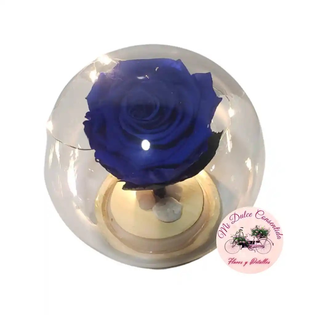 Rosa Azul Preservada En Capsula Con Luces