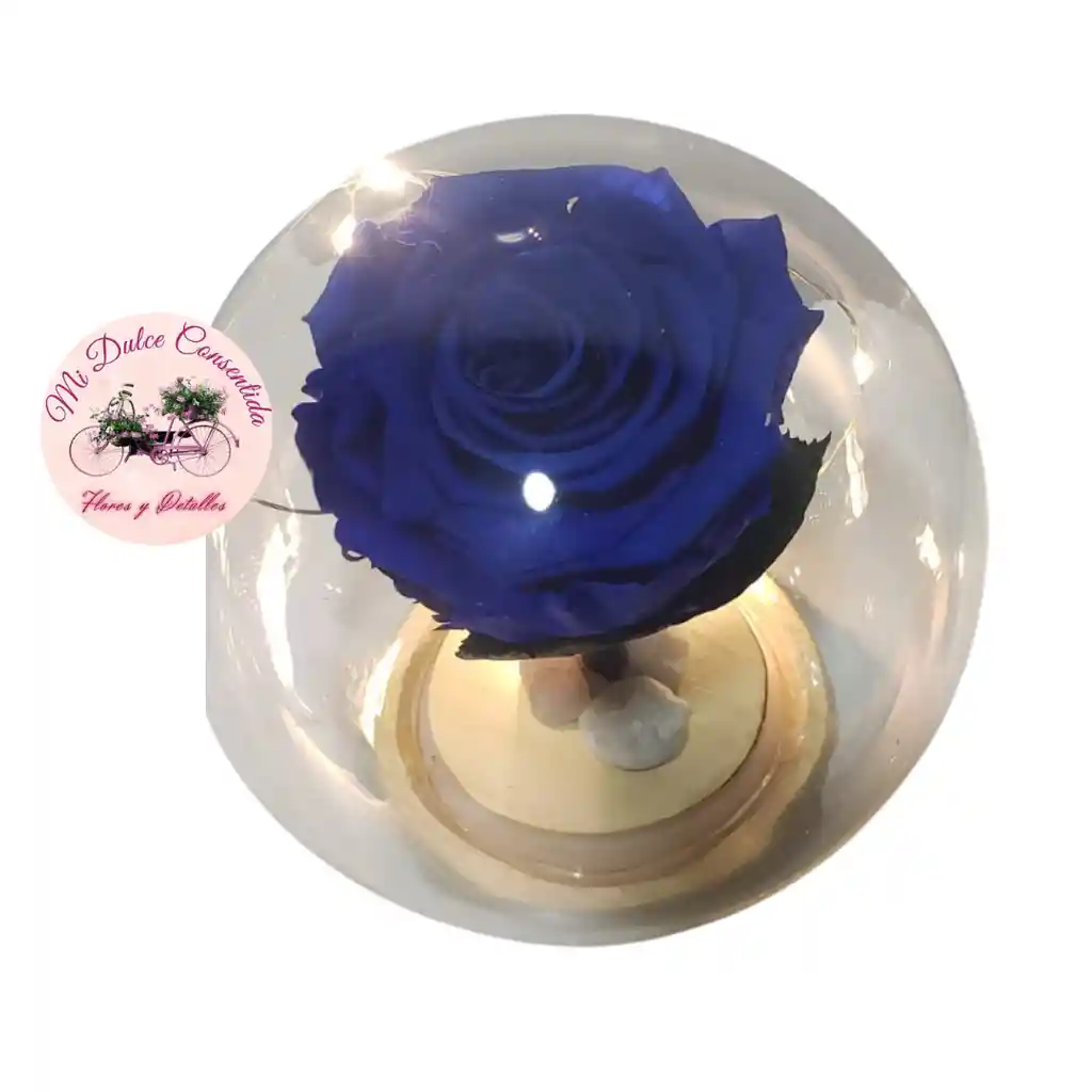 Rosa Azul Preservada En Capsula Con Luces