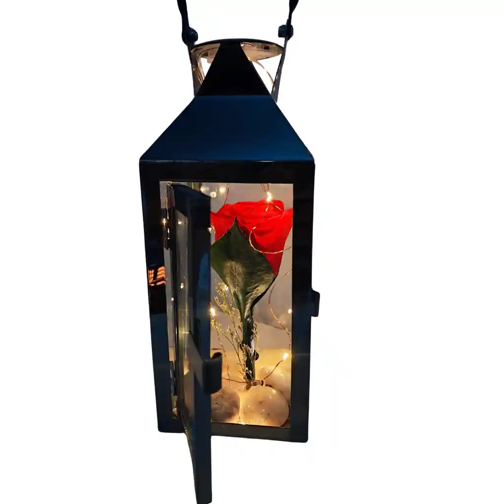 Farol Con Rosa Preservada