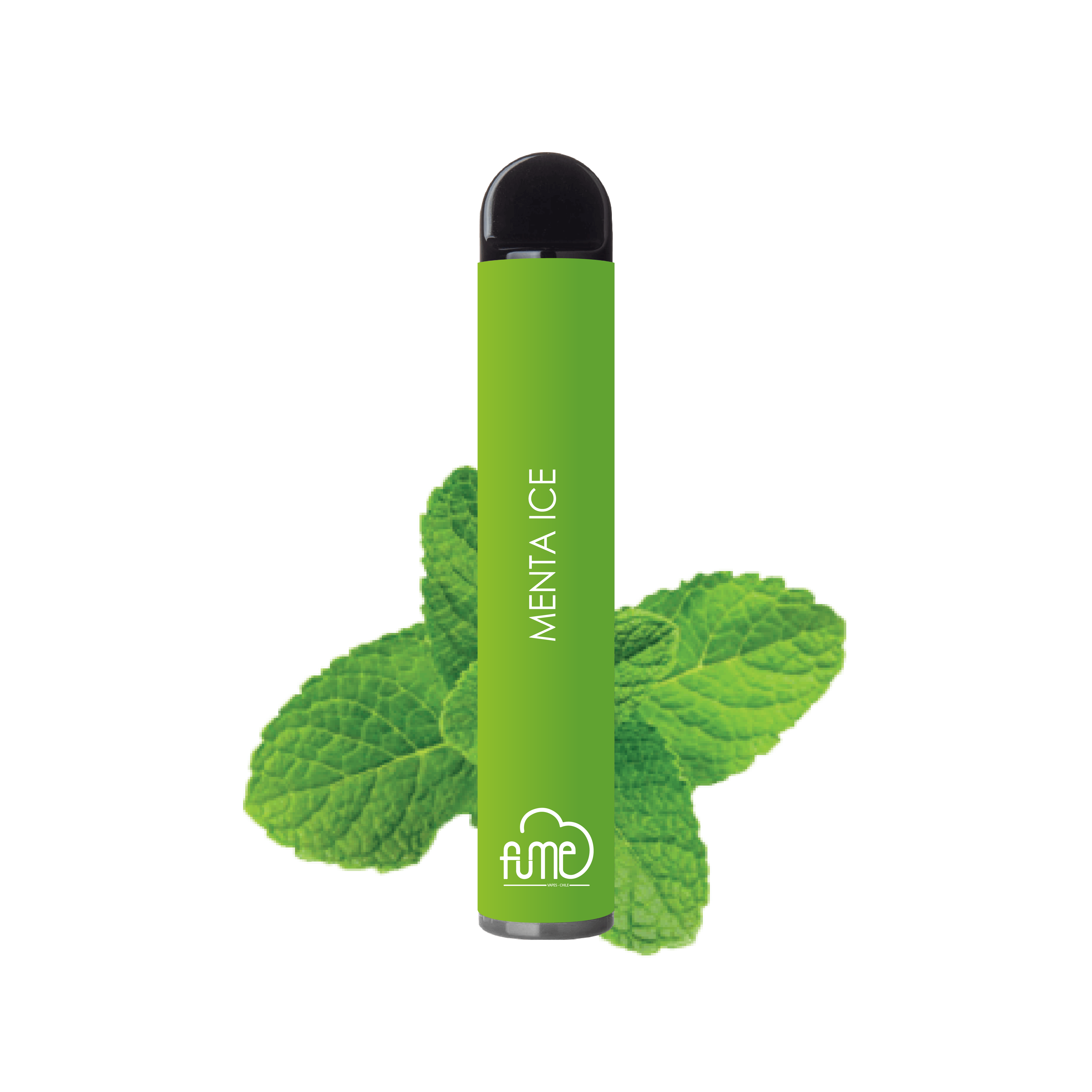 fume vape de menta Mr Fog main image 0