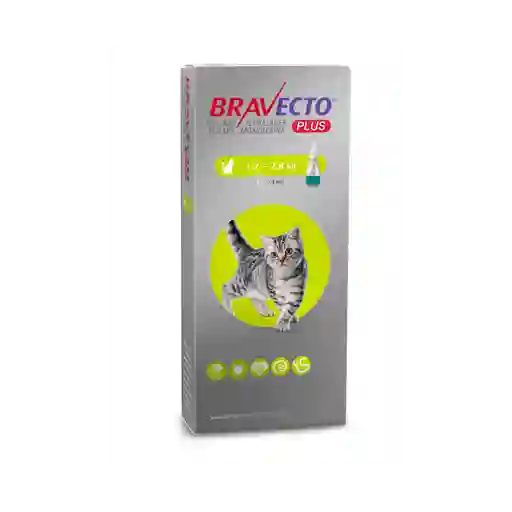 Bravecto Gato Plus 1,2 - 2,8kg