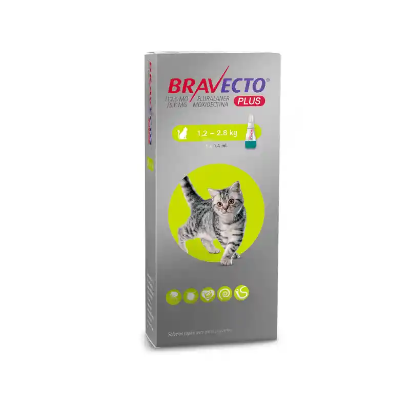 Bravecto Gato Plus 1,2 - 2,8kg