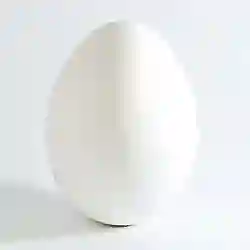 Huevos 6 Unidades
