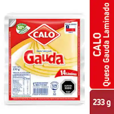 Queso Gauda 233 G Laminado