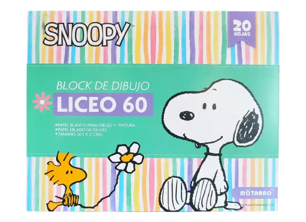 Block Liceo Snoopy