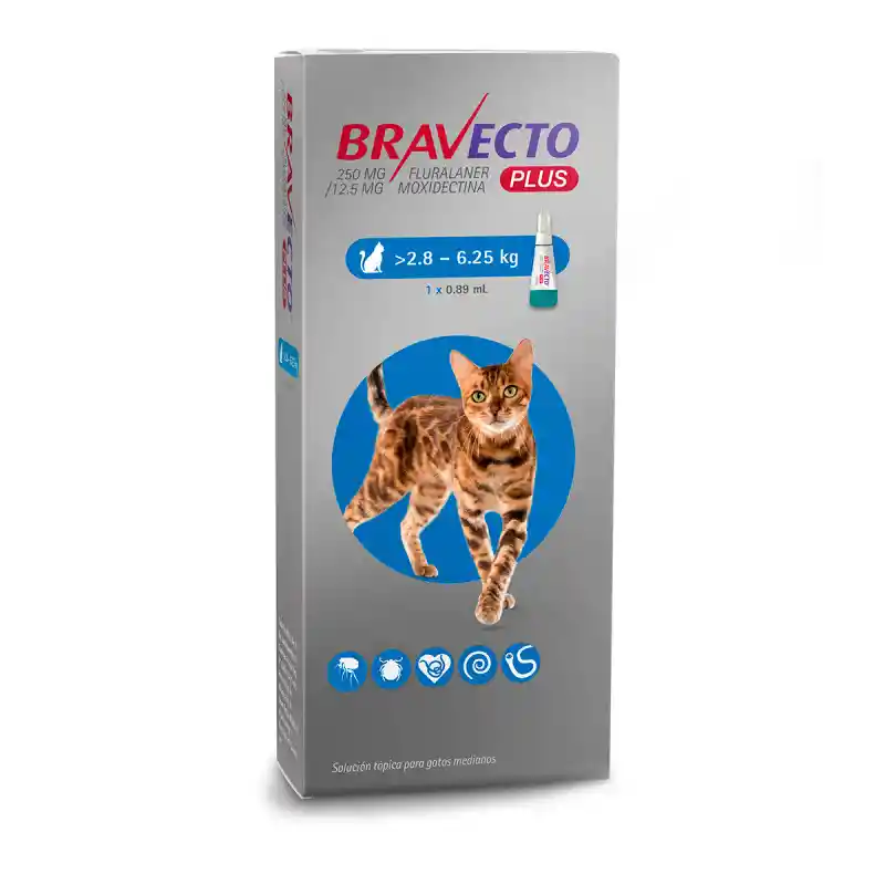 Bravecto Plus Gatos 2.8-6.25 Kg