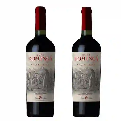 Promo 2 Vinos Dominga Gran Reserva