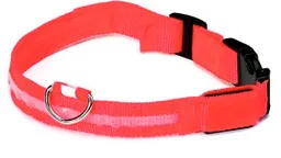 Collar Con Luz Led Rojo Talla L