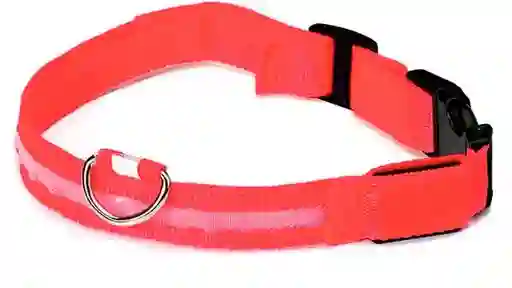 Collar Con Luz Led Rojo Talla L