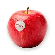 Manzana Envy Kg