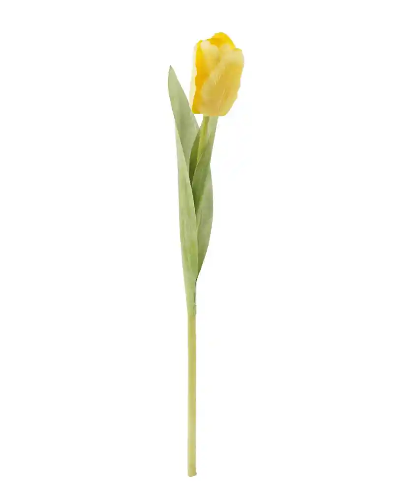 Tulipán Amarillo 35 Cm