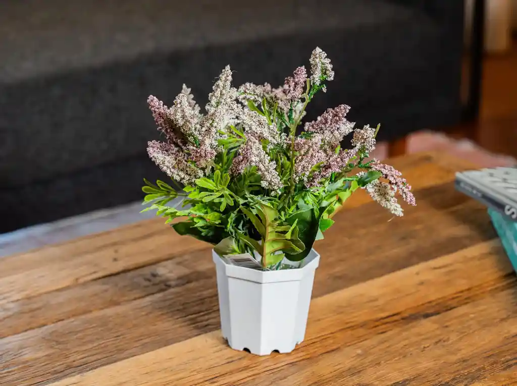 Lavanda En Macetero Blanco 29 Cm