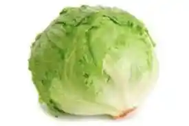 Lechuga Iceberg