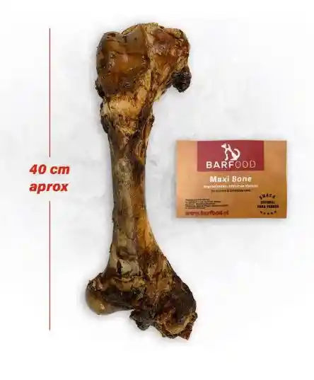 Barfood Maxi Bone Fémur De Vacuno