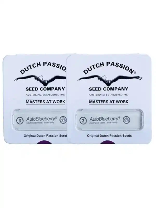 Promocion 2x1 Blueberry Auto X3 Dutch Passion