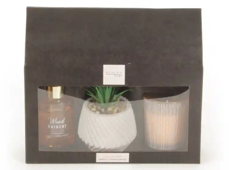 Set Aroma 2 Difusor Vela Y Planta Ripley Home