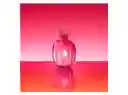 Antonio Banderas Perfume The Icon Fem Edp