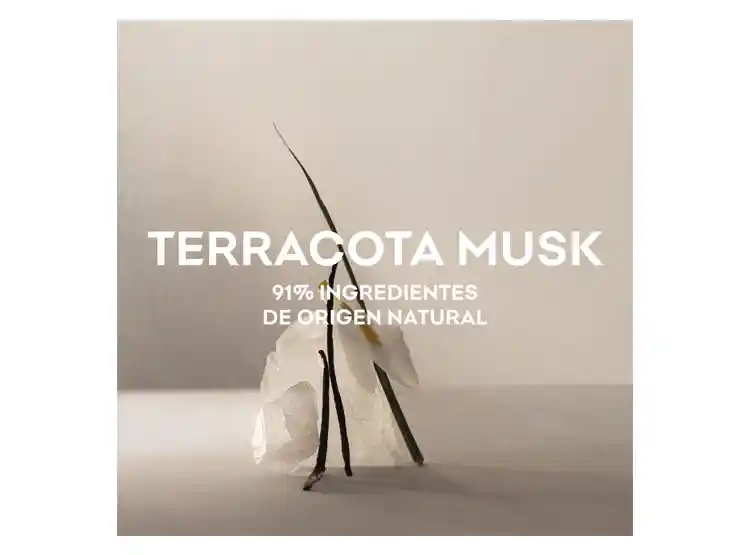 Perfume Adolfo Dominguez Agua Fresca Terracota Musk Mujer Edp 120 Ml