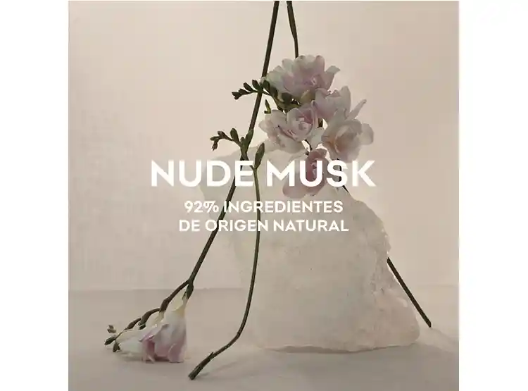 Perfume Adolfo Dominguez Nude Musk Mujer Edp 120 Ml