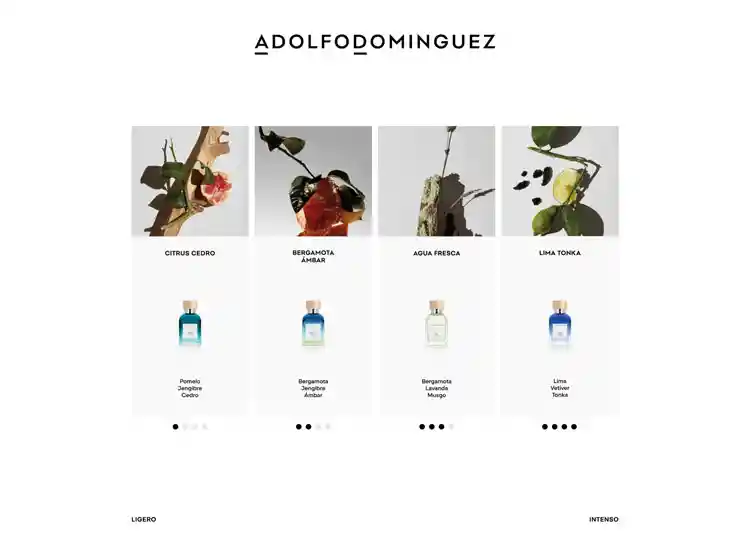 Perfume Adolfo Dominguez Agua Fresca Bergamota Ambar Hombre Edt 120 Ml