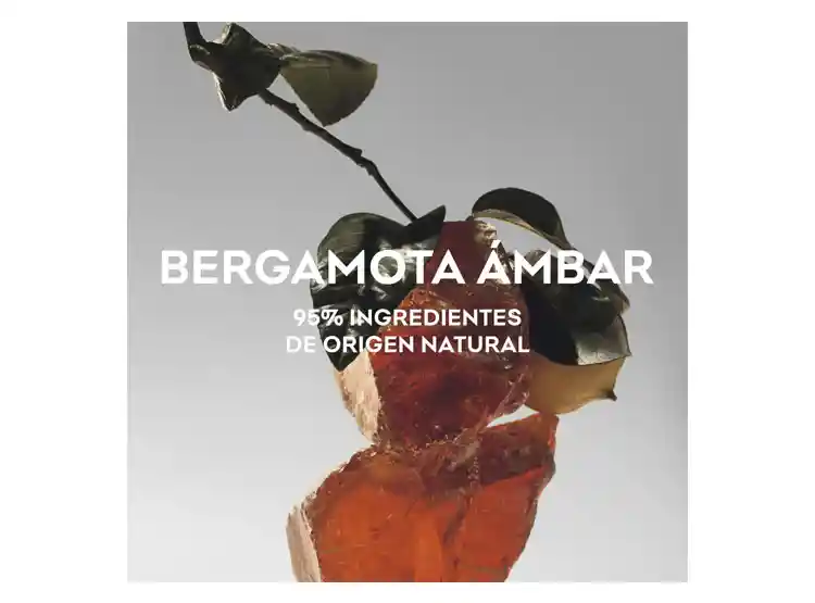 Perfume Adolfo Dominguez Agua Fresca Bergamota Ambar Hombre Edt 120 Ml