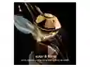 Paco Rabanne Puig Perfume Lady M Fabulous 2021 Edp
