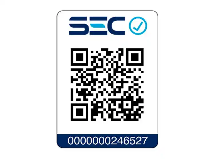 Thomas Plancha Th7170