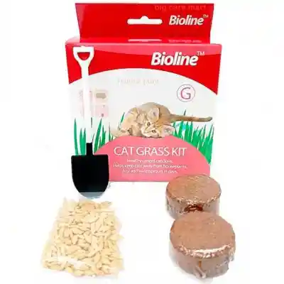 Bioline Cat Grass Kit Pasto Para Gatos 12gr