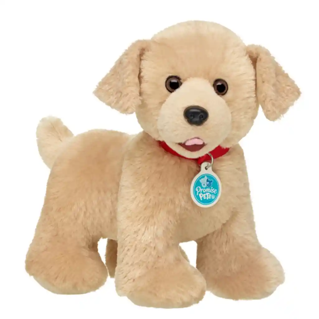 Peluche Perro Golden Build-a-bear