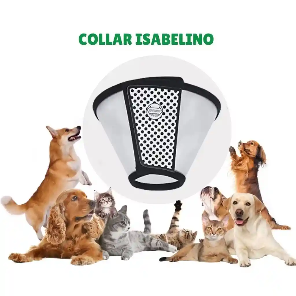 Marben Pets - Procollar Collar Isabelino Con Cierre De Velcro No. 2+ (cuello 33-37 Cm / Profundidad 18 Cm)