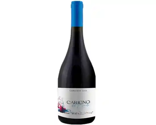 Carigno Del Maule Carignan