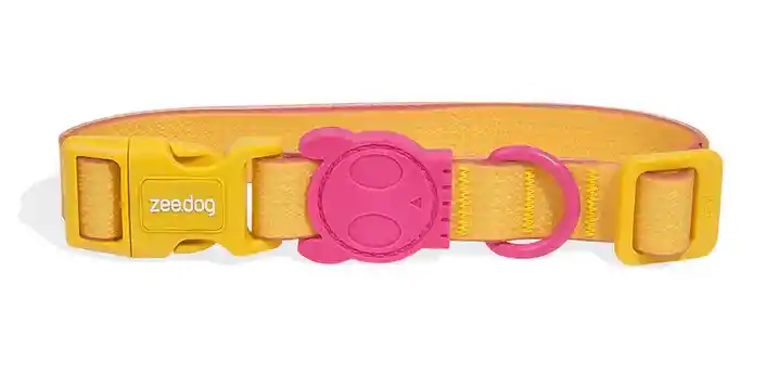 Zee Dog - Lyra Neopro Collar Small (31 - 43 Cm)