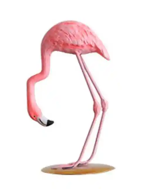 Flamingo Fabulous Agachado