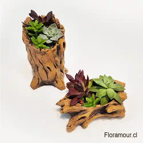 Par De Tronquitos De Arcilla Con Suculentas